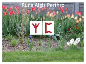 runa Algiz Perthro